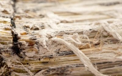 Asbestos in the workplace – Is There Asbestos In Your Office?