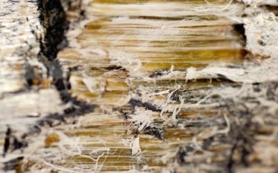 Worried about asbestos? Tips to keep you safe