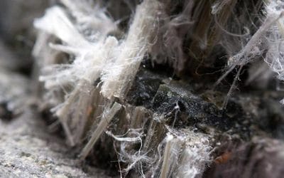 What are the legal obligations for businesses surrounding asbestos?
